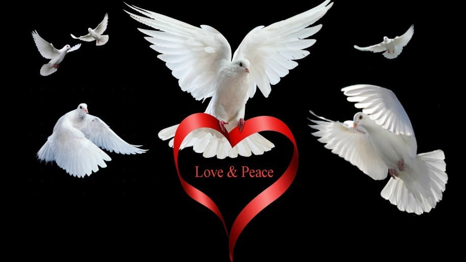 Love peace hd wallpaper 333930